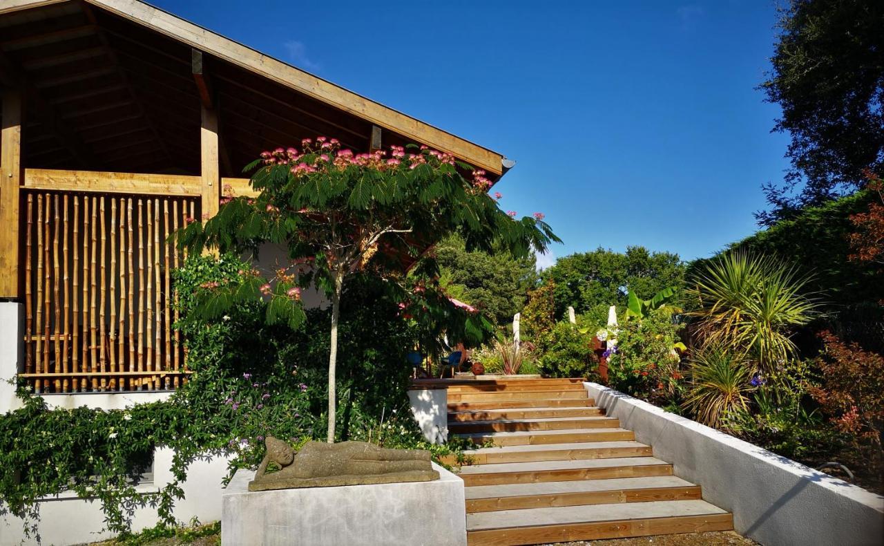 Villa Hossegor - 4 Etoiles, 6 Chambres - 5 Salles De Bains - Piscine Chauffee 5 Mn Des Plages Soorts-Hossegor Εξωτερικό φωτογραφία